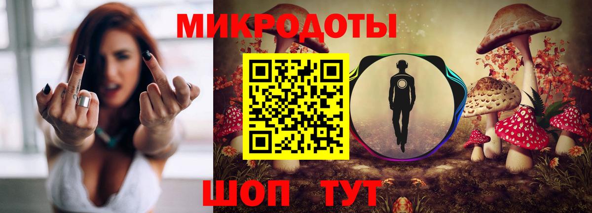 Псилоцибиновые грибы Cubensis Орехово-Зуево